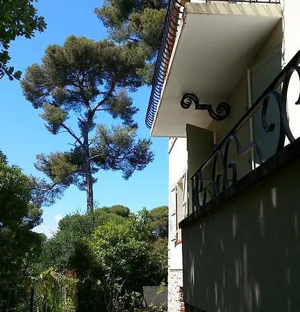 Kimi Cannes